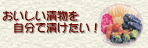 おいしい漬物を自分で漬けたい